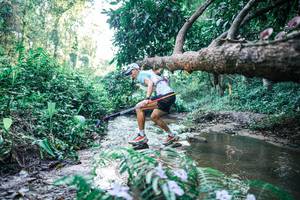 BIB: 
                            <button type="button" onclick="openModal(25430377)" class="btn btn-primary btn-sm float-right btn-popup" data-toggle="modal" data-target=".modal-high-quality">
                        <i class="fas fa-shopping-cart"></i> Add to Cart
                    </button>
                                            <button type="button" onclick="isThisMe(25430377, true)" class="btn btn-success btn-sm float-right btn-popup btn-isme hidden" data-toggle="tooltip" data-placement="bottom" title="นี่คือรูปของคุณใช่ไหม คลิกที่นี่เพื่อเอาเข้าอัลบั้ม">
                        <i class="fas fa-plus"></i> Add to album
                    </button>
                    <button type="button" onclick="isThisMe(25430377, false)" class="btn btn-warning btn-sm float-right btn-popup btn-isnotme hidden">
                        <i class="fas fa-ban"></i> Remove from album
                    </button>